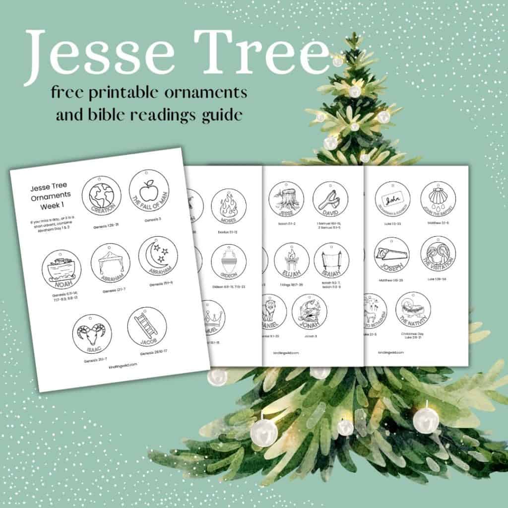 jesse tree advent tradition free printable colouring - kindling wild